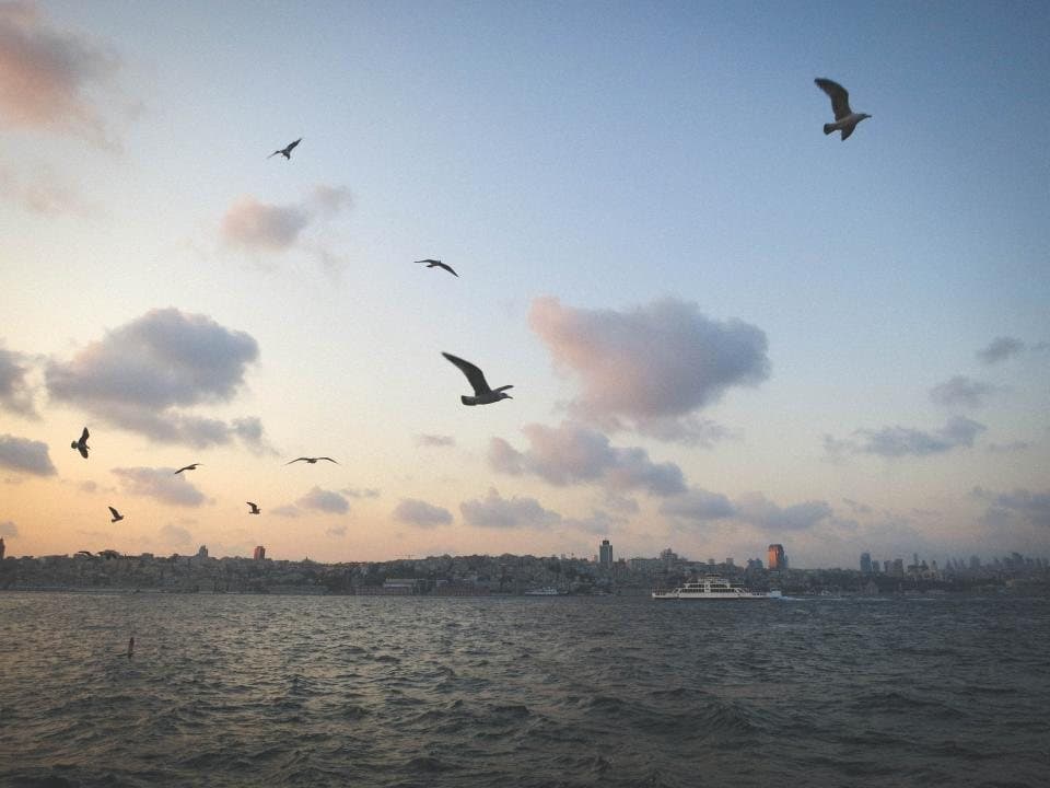 İstanbul'da e-ticaret sitesi açmak isteyen yerel işletmeler için paketleme ve lojistik hazırlığı